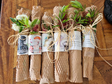 Load image into Gallery viewer, Christmas Bon Bons - Individually Wrapped in Our Tea Towels
