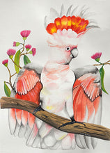 Load image into Gallery viewer, Major_Mitchell_Cushion_Cover_Art