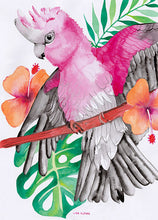 Load image into Gallery viewer, Pink_Gray_Galah_Cushion_Cover_Art
