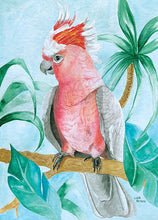Load image into Gallery viewer, major_mitchell_cockatoo_australian_birds_oz_art