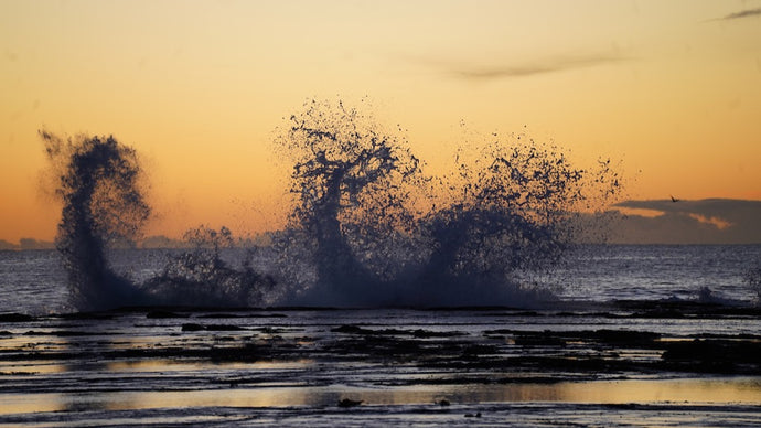 pz-art_tidal_pool_narrabeen