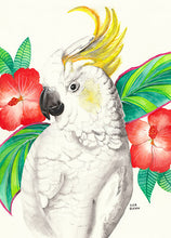 Load image into Gallery viewer, Cockatoo_Hibiscus_Tea_Towel_Art
