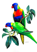 Load image into Gallery viewer, Rainbow_Lorikeet_Cushion_Cover_Art
