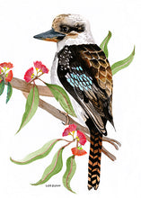 Load image into Gallery viewer, Kookaburra_1_Cushion_Cover_Art
