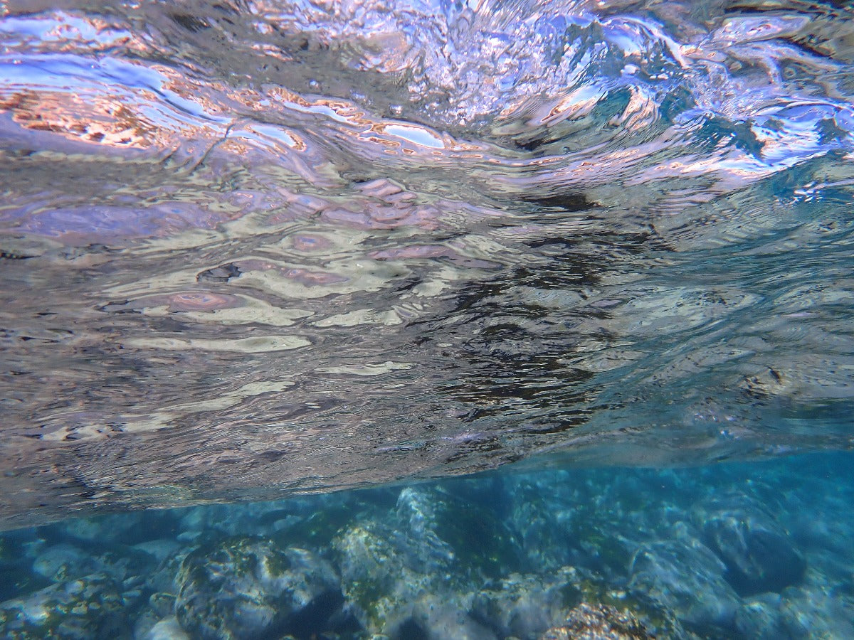 ocean_reef_shelly_beach_cabbage_tree_manly_oz-art