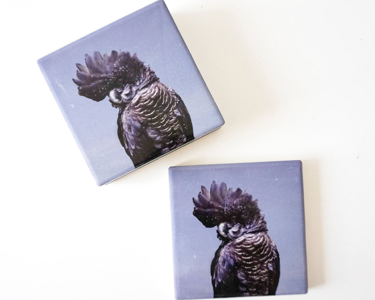 Black Cockatoo Coasters - Set of 4 Ceramic with Cork Backing - OZ RESORT